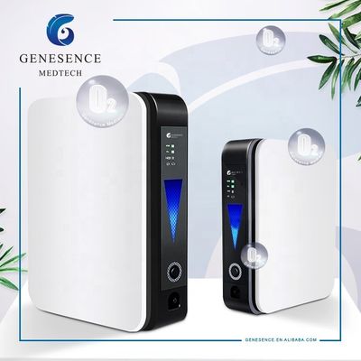 качество  For Home Use 1L Mini Flow Portable In-car Oxygen Concentrator, Home Oxygen Making Machine, Nebulizer Machine завод